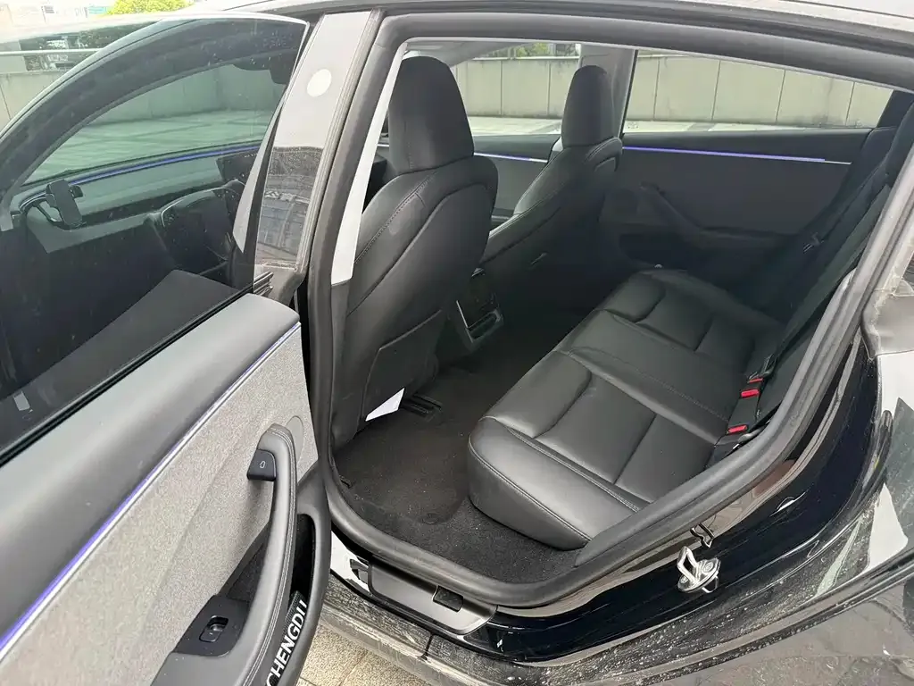 Tesla Model 3 2024 из CN, фото 5