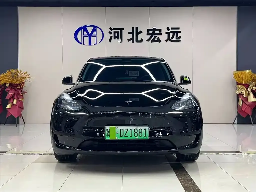 Tesla Model Y — фото 2