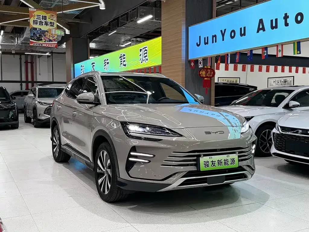 BYD PLUS New Energy — фото 3
