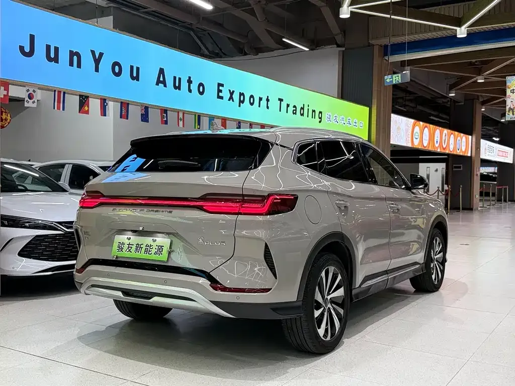 BYD PLUS New Energy — фото 4