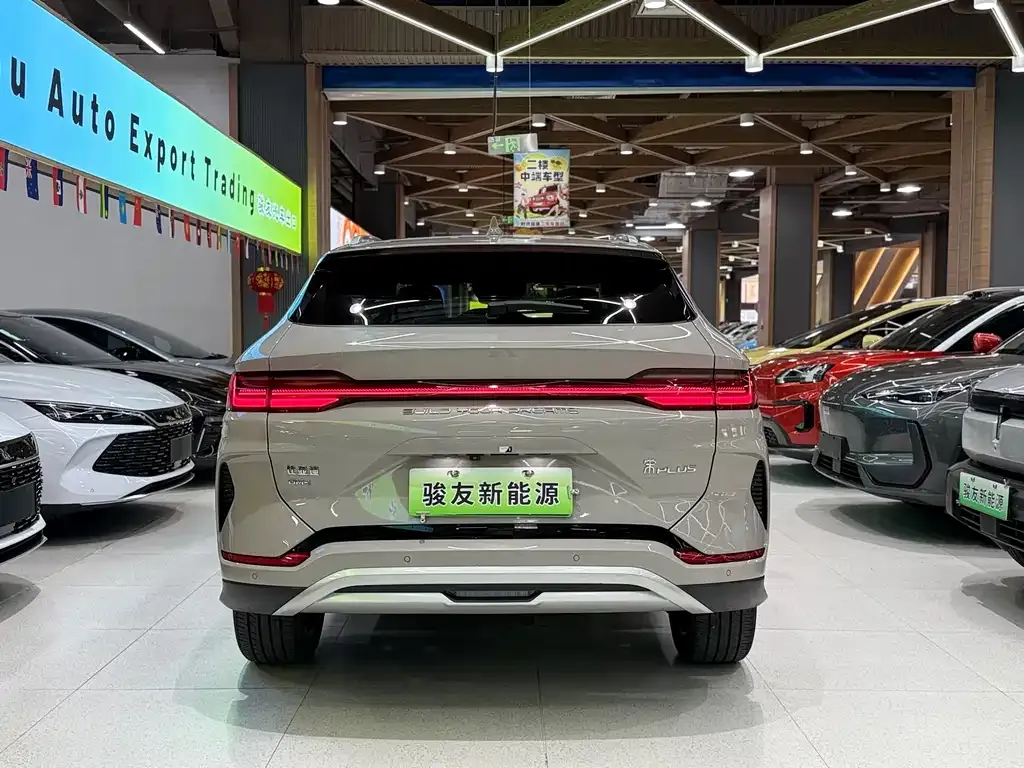 BYD PLUS New Energy — фото 5