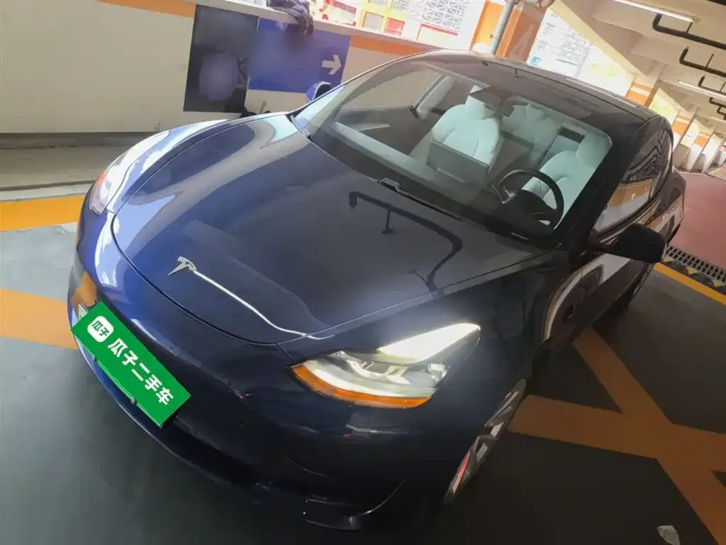 Tesla Model 3 2021 из CN, фото 1
