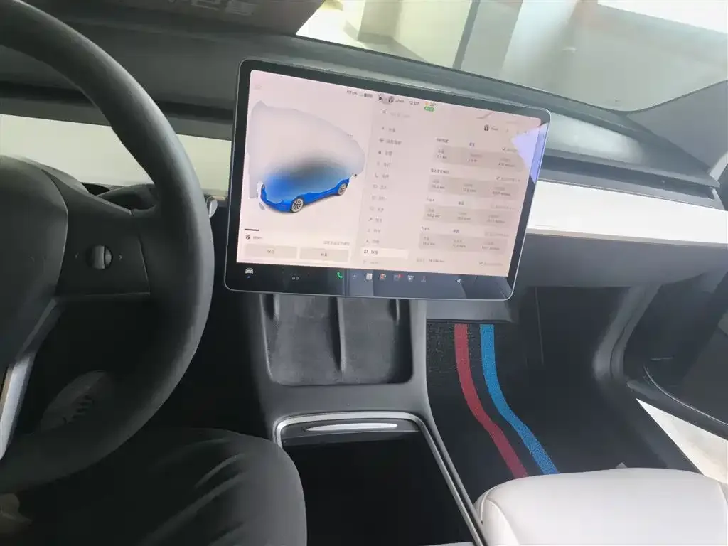 Tesla Model 3 2021 из CN, фото 10