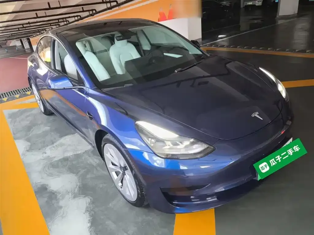 Tesla Model 3 2021 из CN, фото 4