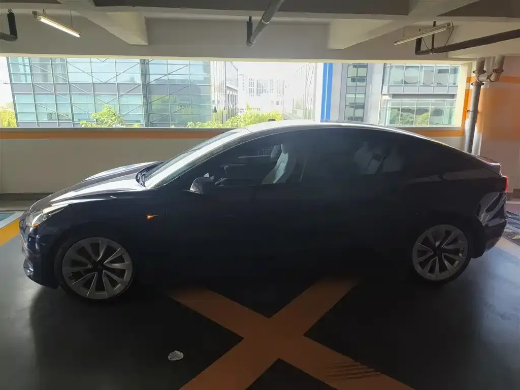 Tesla Model 3 2021 из CN, фото 5