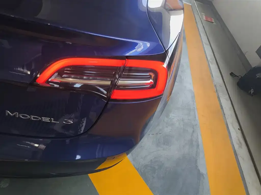 Tesla Model 3 2021 из CN, фото 8