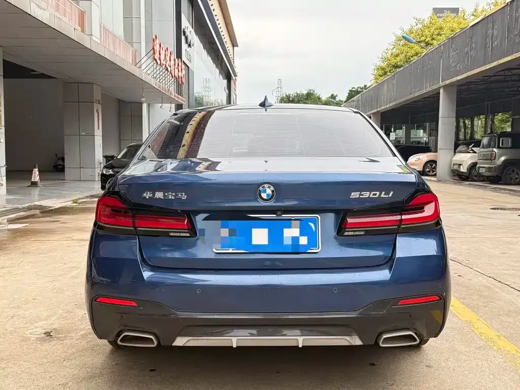 BMW 5 Series 2022 из CN, фото 8