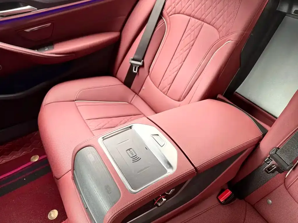 BMW 5 Series 2022 из CN, фото 9