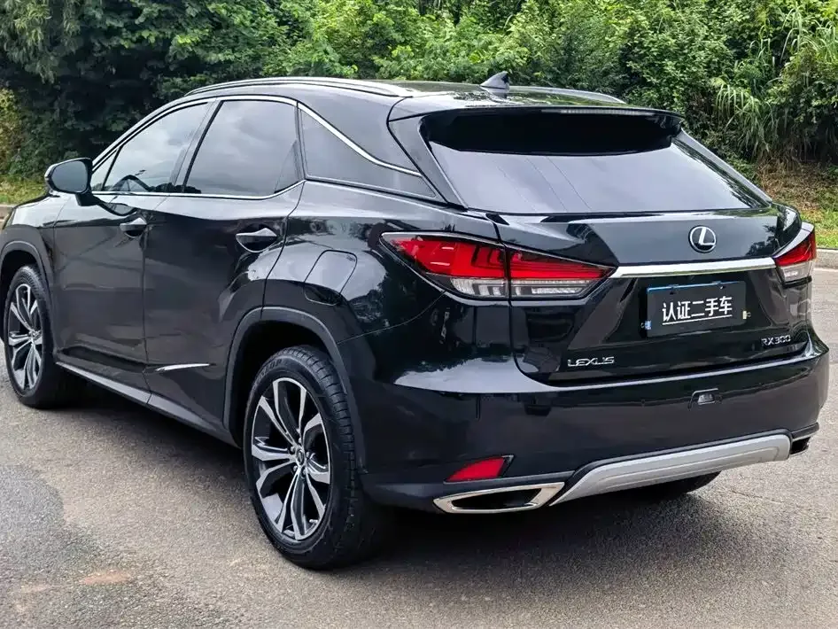 Lexus RX 2021 из CN, фото 5