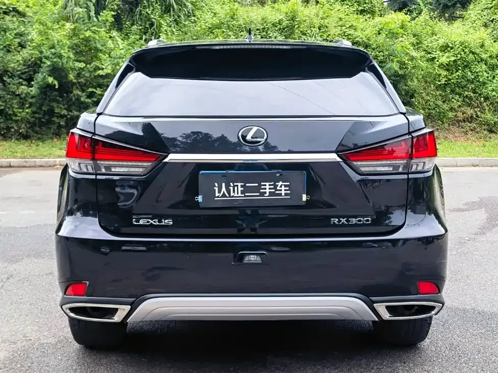 Lexus RX 2021 из CN, фото 6