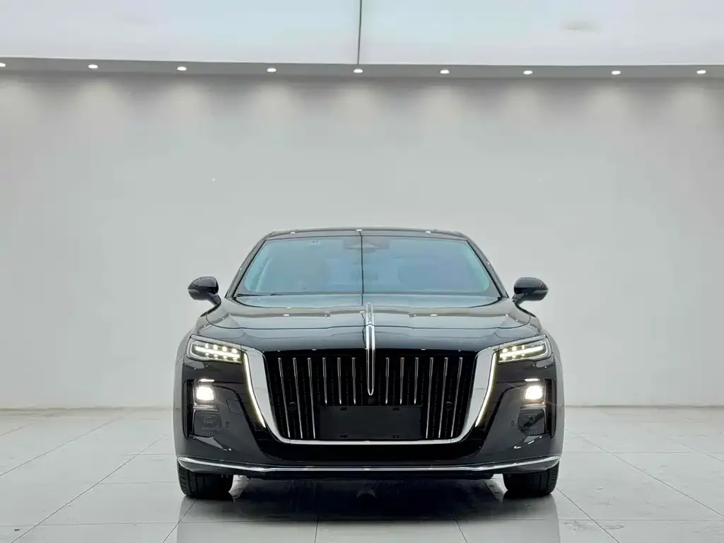 Hongqi H5 2023 из CN, фото 2