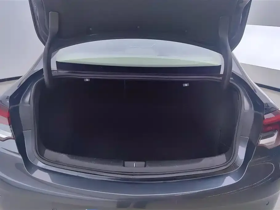 Buick Regal 2021 из CN, фото 4