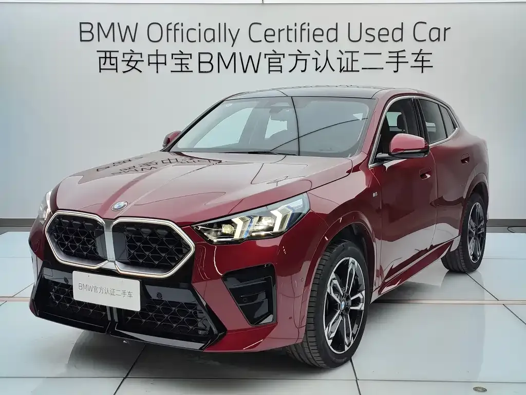 BMW X2 (Import) — фото 1