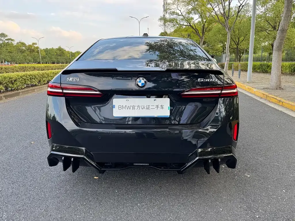 BMW 5 Series 2025 из CN, фото 9