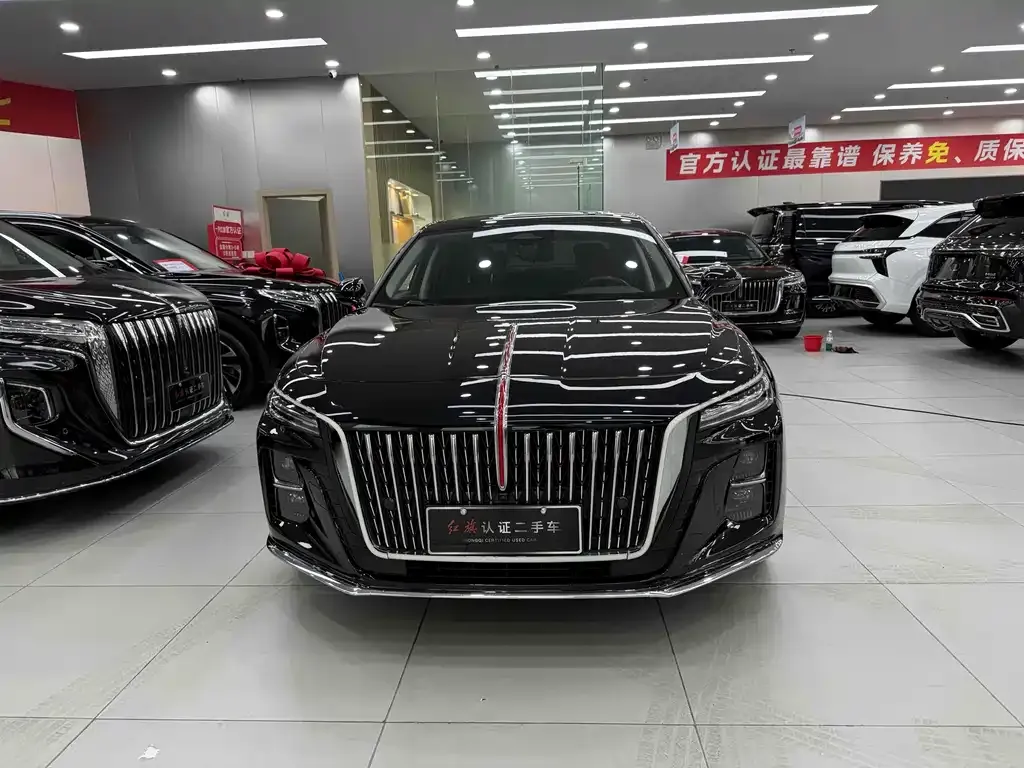 Hongqi H5 2023 из CN, фото 2