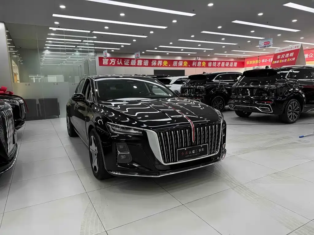 Hongqi H5 2023 из CN, фото 3