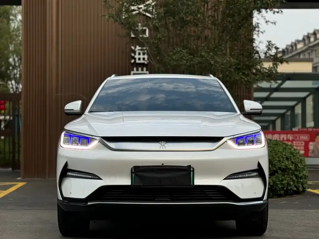 BYD PLUS New Energy 2023 из CN, фото 2
