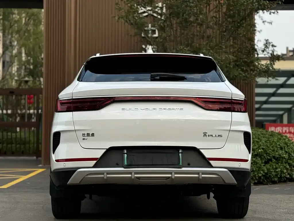 BYD PLUS New Energy 2023 из CN, фото 8