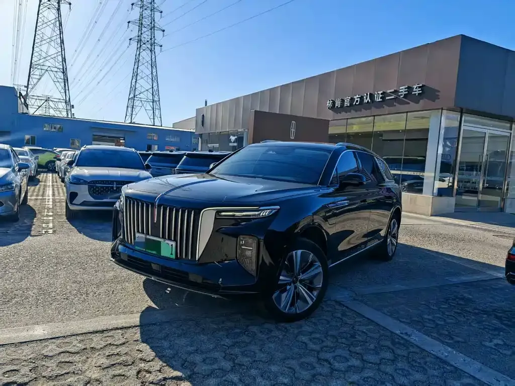 Hongqi E-HS9 2023 из CN, фото 1