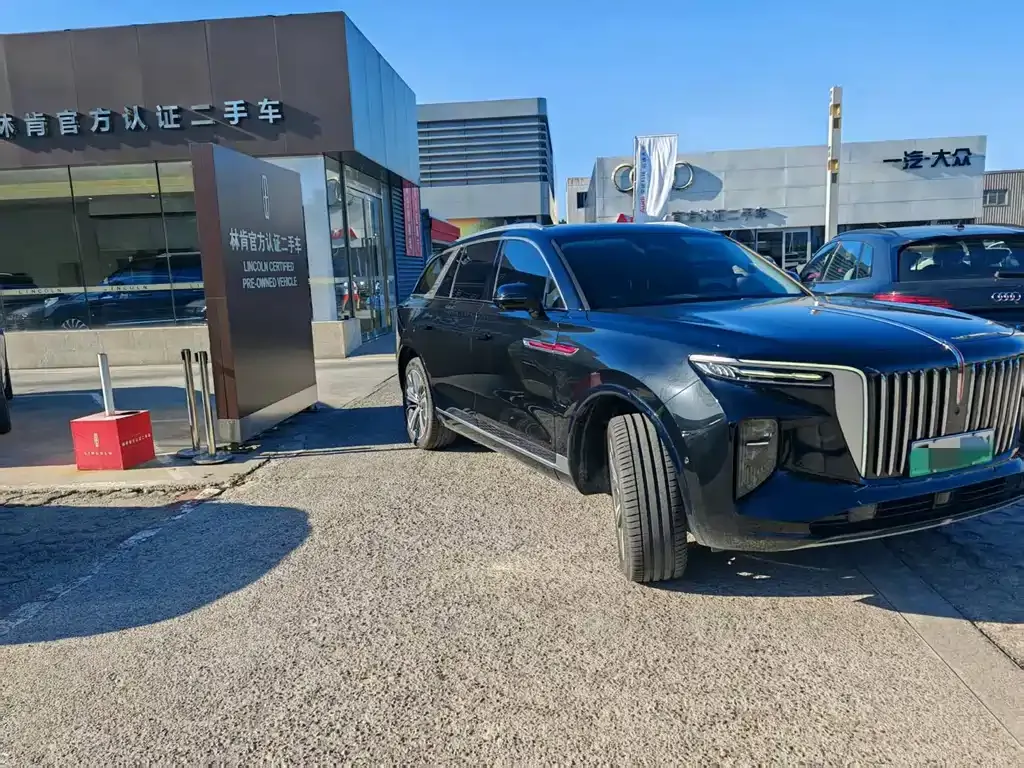 Hongqi E-HS9 2023 из CN, фото 2