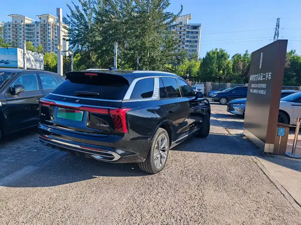 Hongqi E-HS9 2023 из CN, фото 4