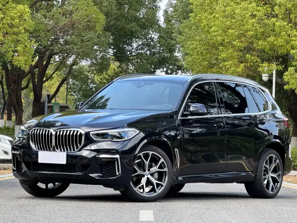 BMW X5 2023 из CN, фото 1