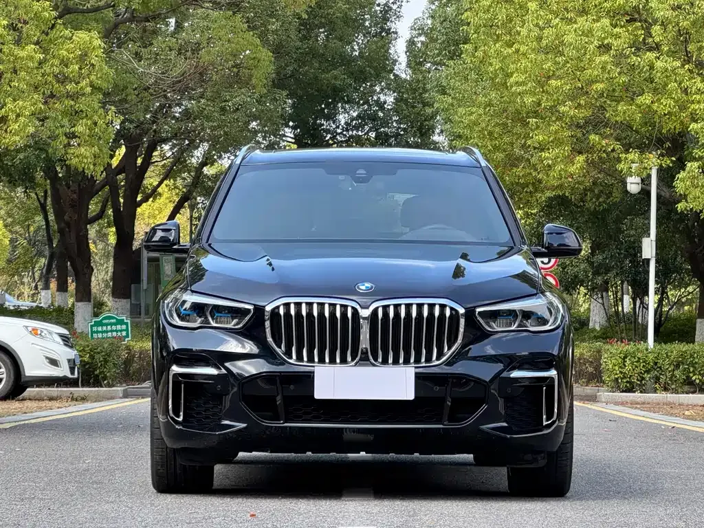 BMW X5 2023 из CN, фото 2
