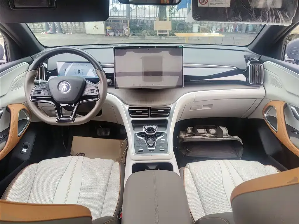 BYD Pro New Energy 2023 из CN, фото 10