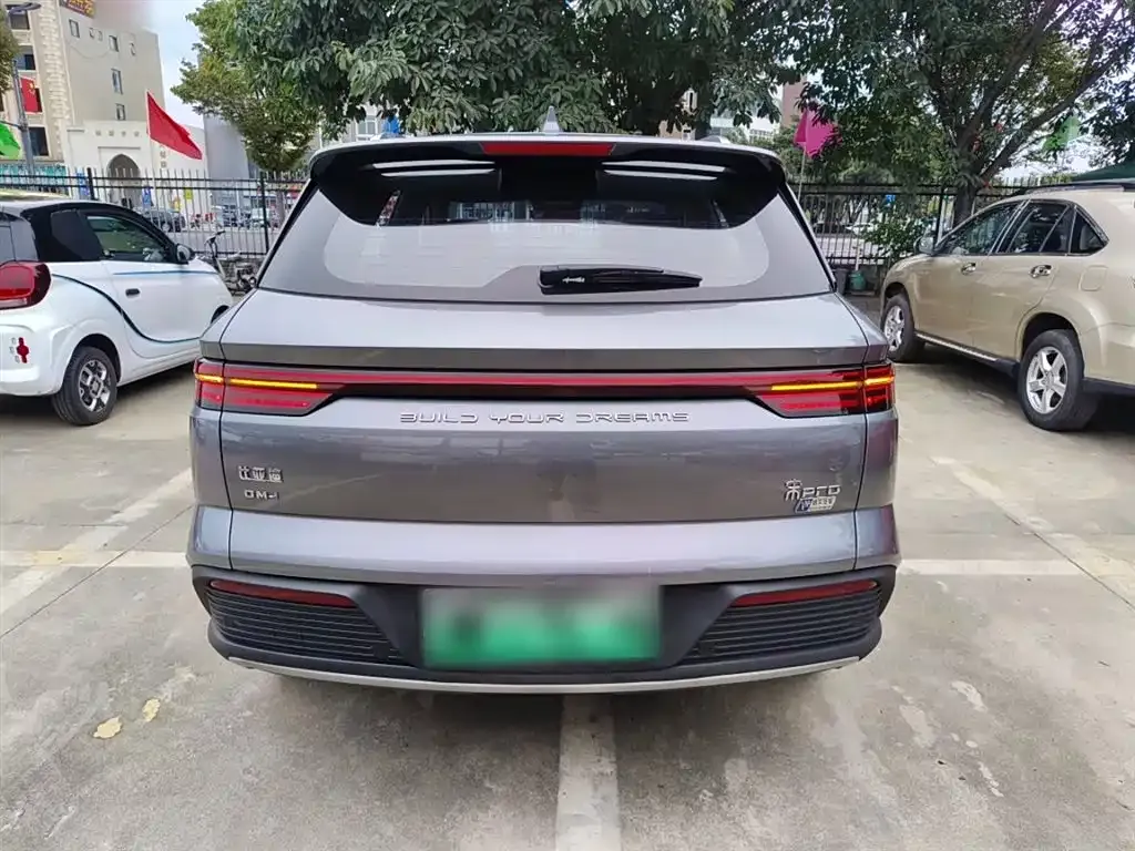 BYD Pro New Energy 2023 из CN, фото 6