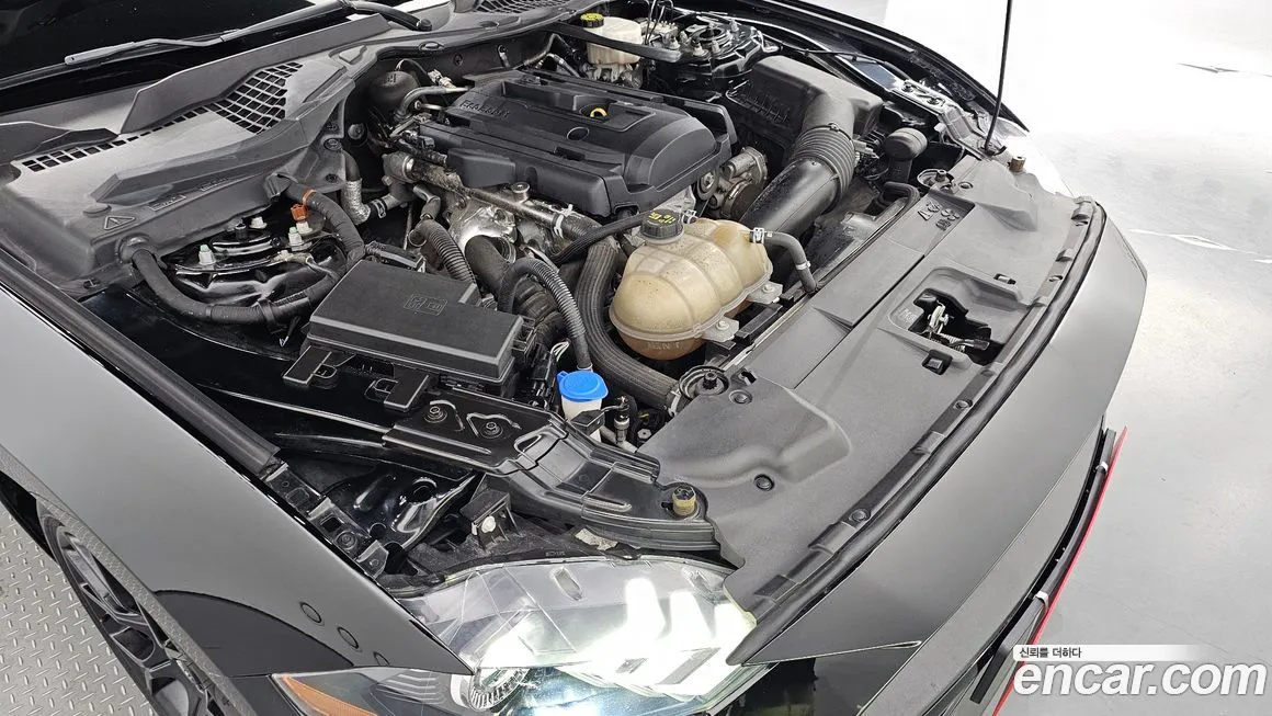 Ford Mustang 2021 из KR, фото 6