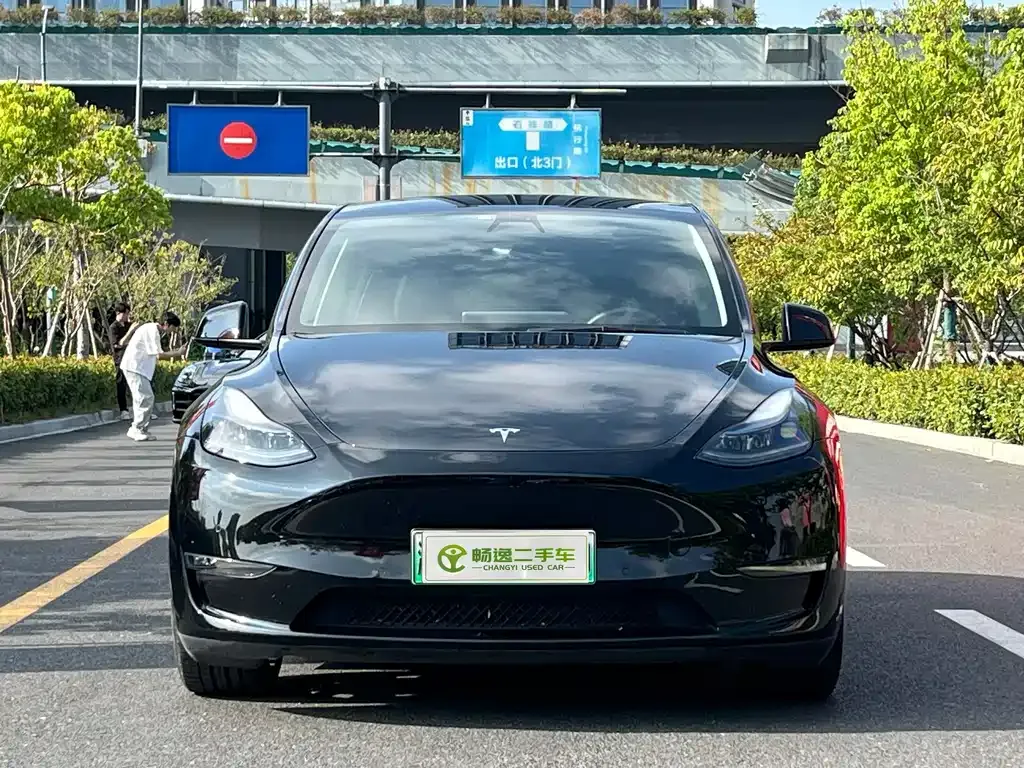 Tesla Model Y 2022 из CN, фото 2