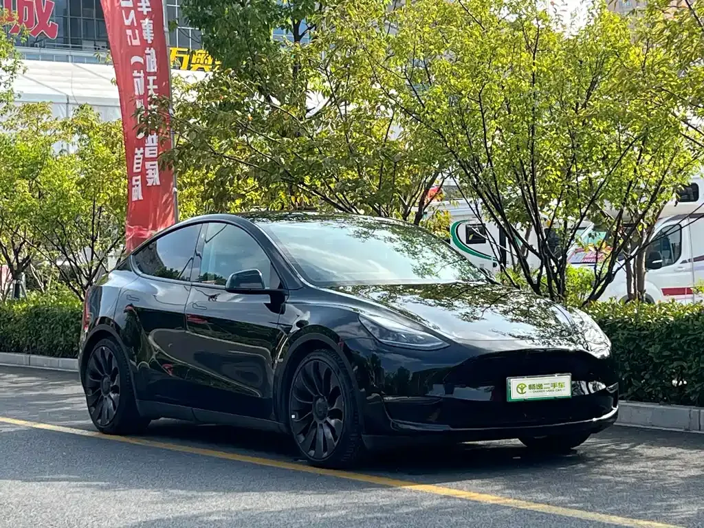 Tesla Model Y 2022 из CN, фото 4