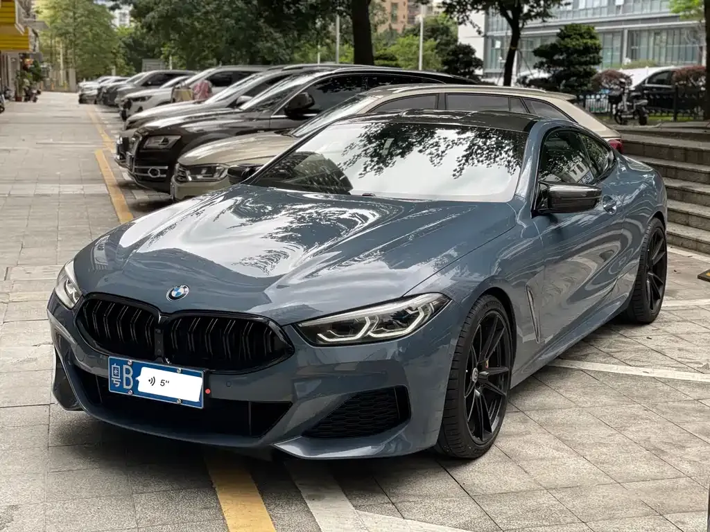 BMW 8 Series 2021 из CN, фото 1