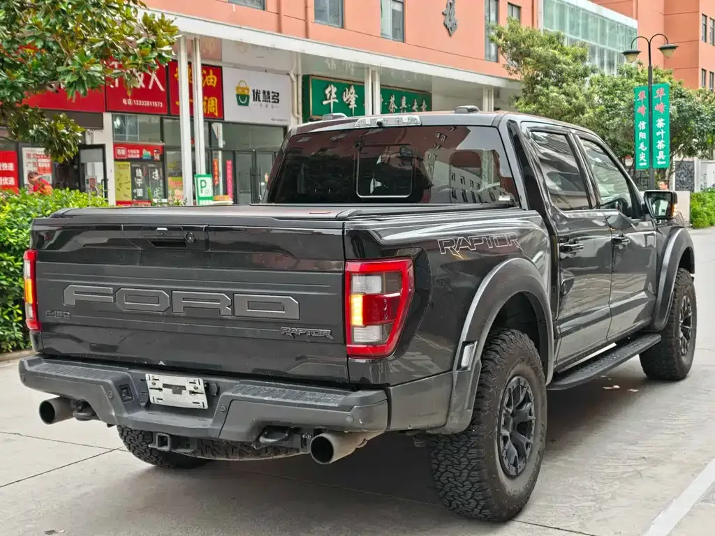 [object Object] F-150 Raptor 2024 из CN, фото 8