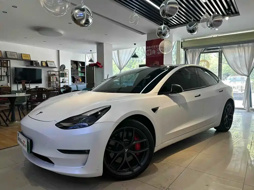 Tesla Model 3 2021 из CN, фото 1