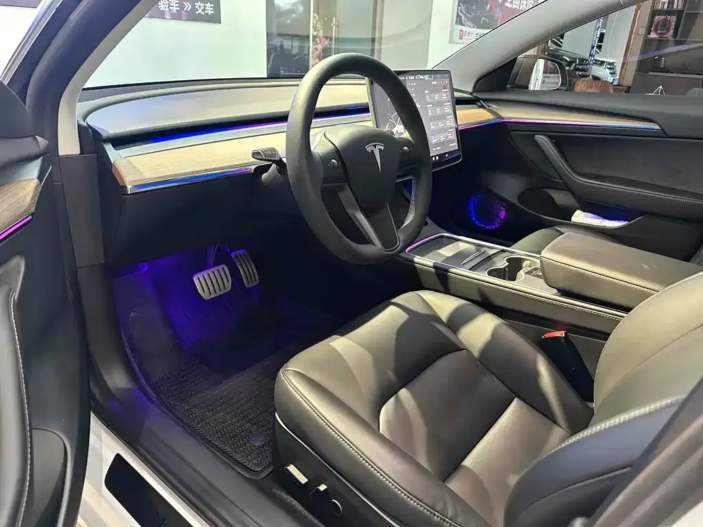 Tesla Model 3 2021 из CN, фото 10