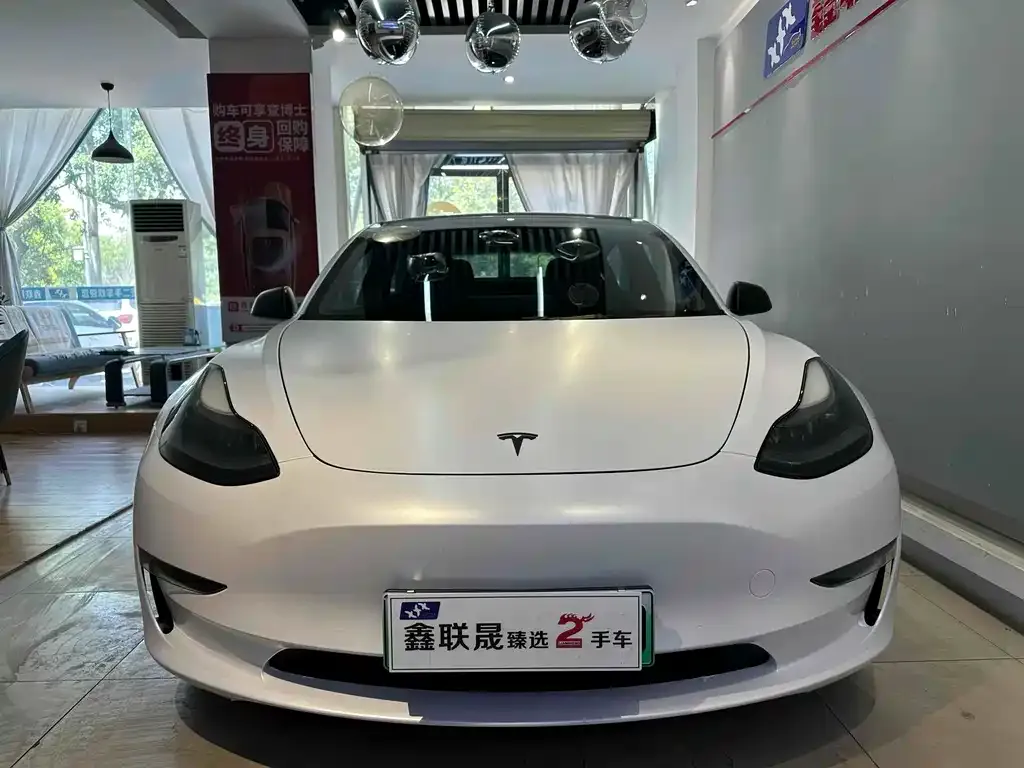 Tesla Model 3 2021 из CN, фото 2