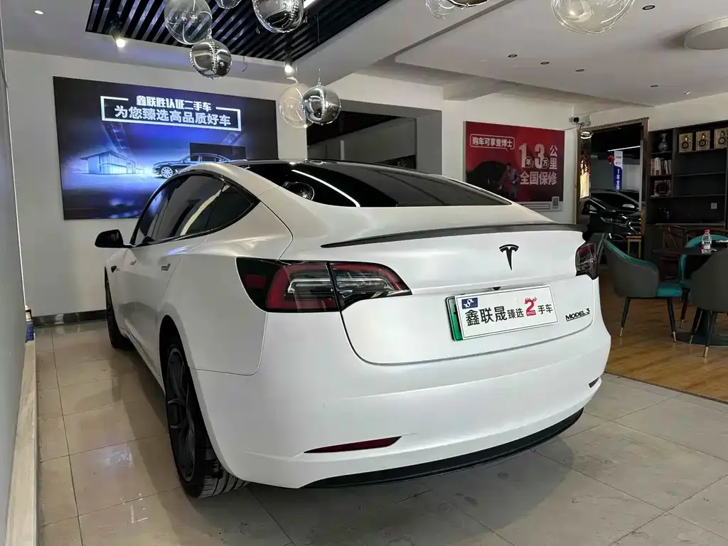 Tesla Model 3 2021 из CN, фото 5