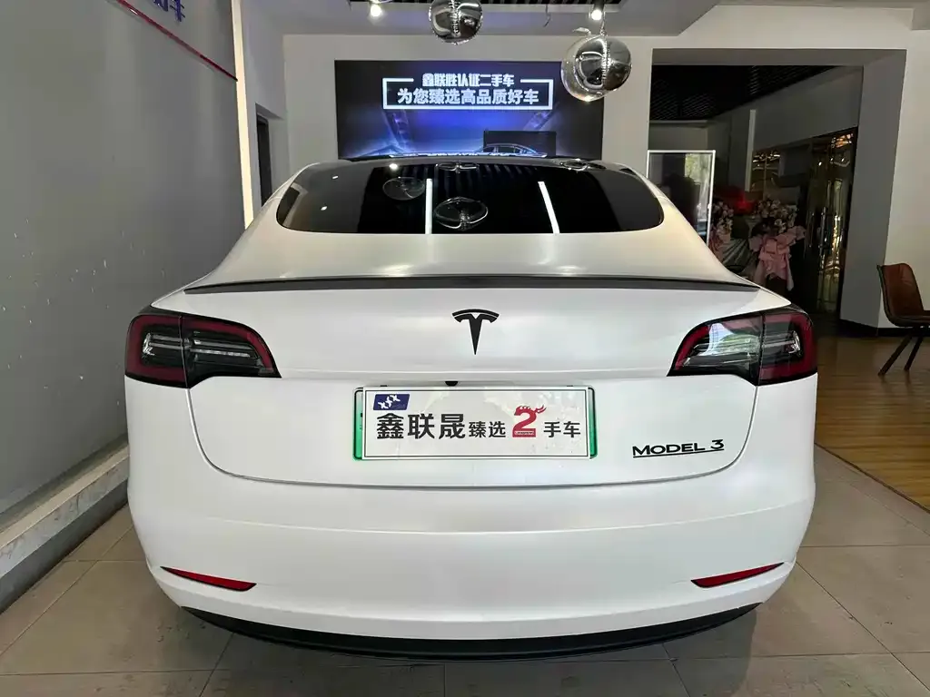 Tesla Model 3 2021 из CN, фото 7