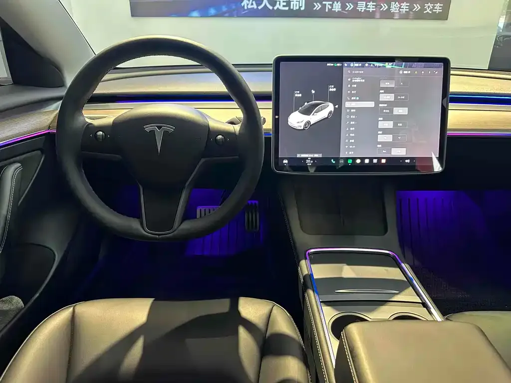 Tesla Model 3 2021 из CN, фото 9