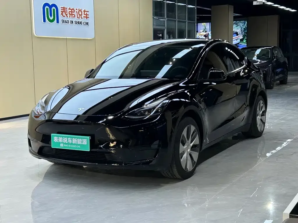 Tesla Model Y 2023 из CN, фото 1