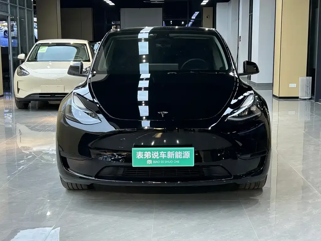 Tesla Model Y 2023 из CN, фото 2