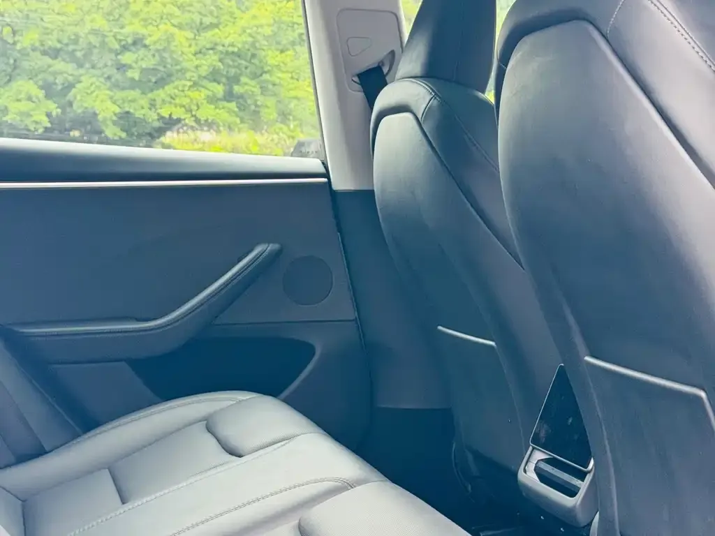 Tesla Model 3 2023 из CN, фото 8