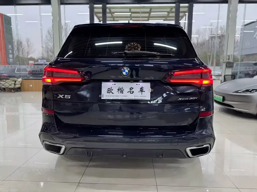 BMW X5 (Import) 2021 из CN, фото 4