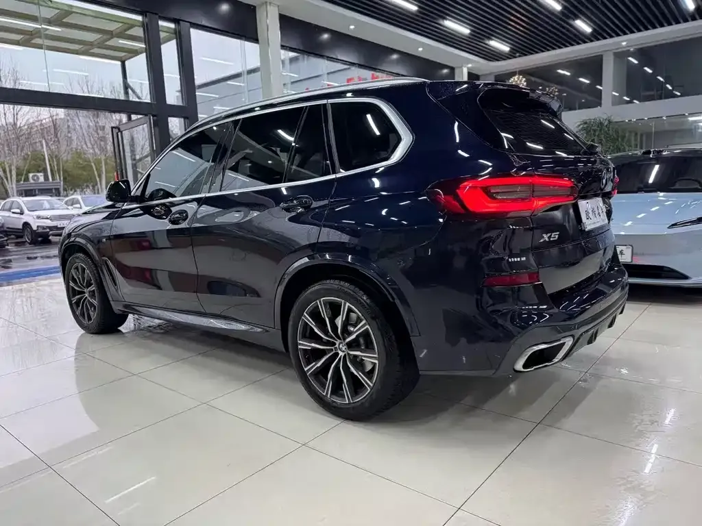 BMW X5 (Import) 2021 из CN, фото 6