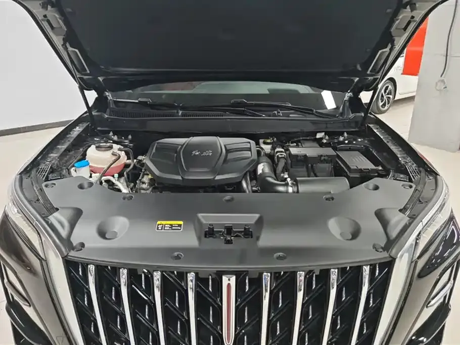 Hongqi HS5 2024 из CN, фото 10
