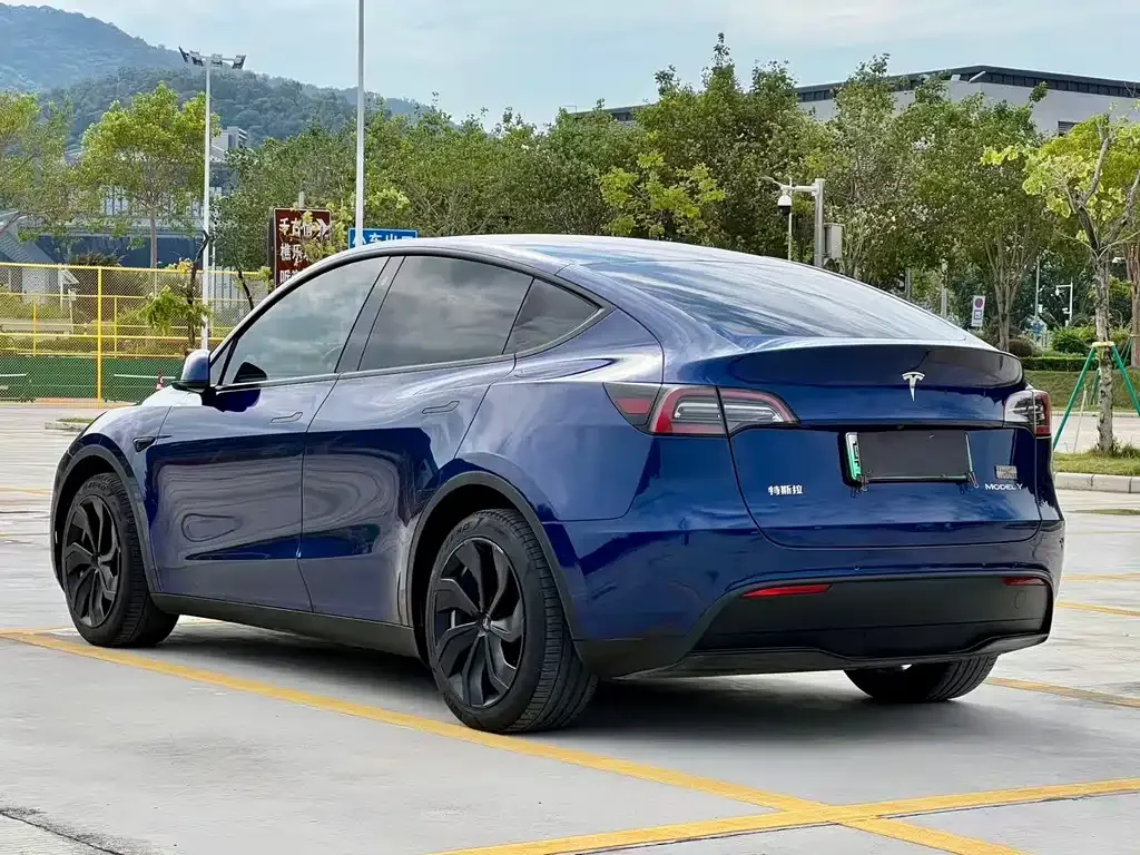 Tesla Model Y 2022 из CN, фото 6