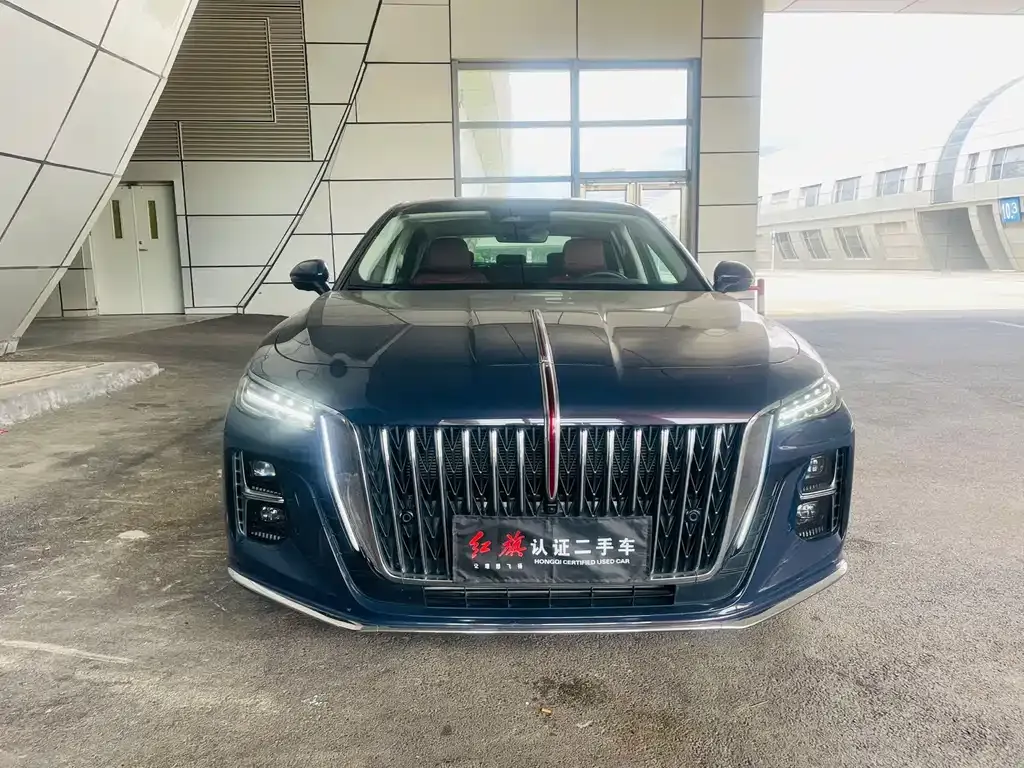 Hongqi H5 2023 из CN, фото 2