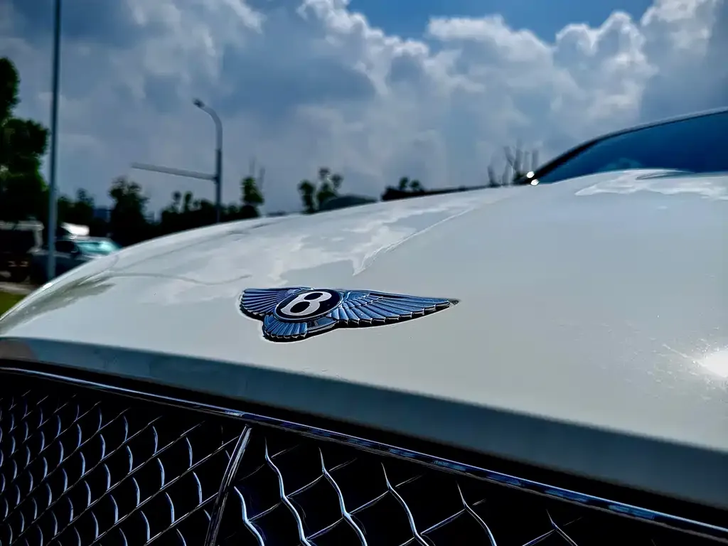 Bentley Continental 2021 из CN, фото 8