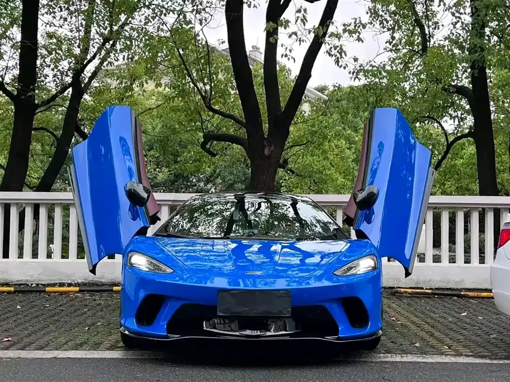 McLaren GT 2021 из CN, фото 2